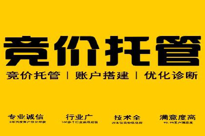 提升广告转化率的关键——SEM竞价推广策略探讨